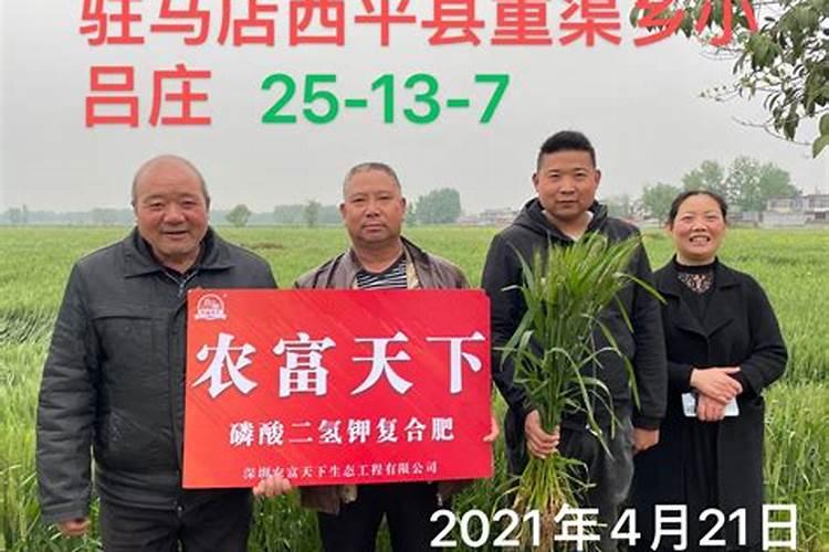 小麦春季怎么追肥