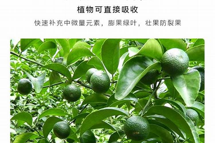 土壤肥力过剩怎么办？