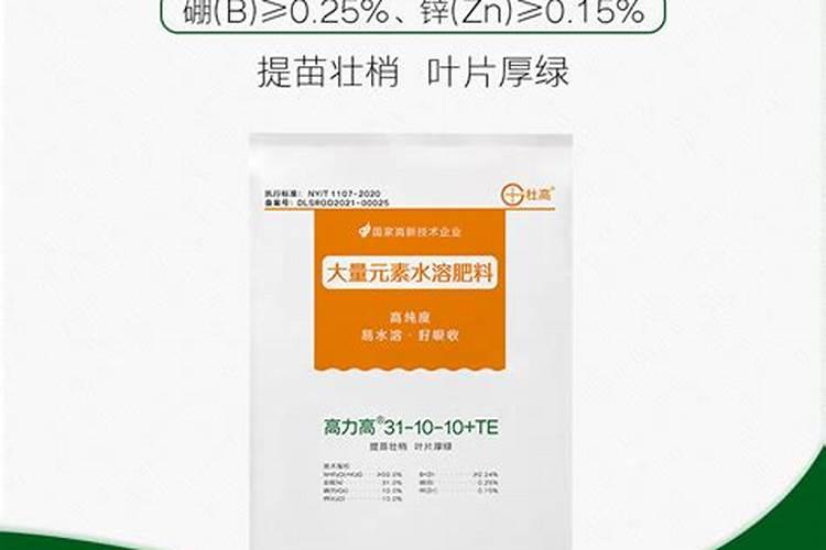 香瓜怎么增甜最快