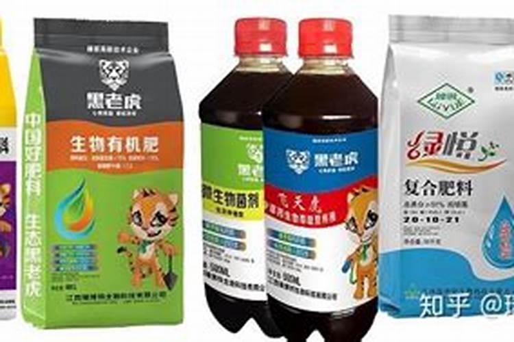香松叶子软是为什么