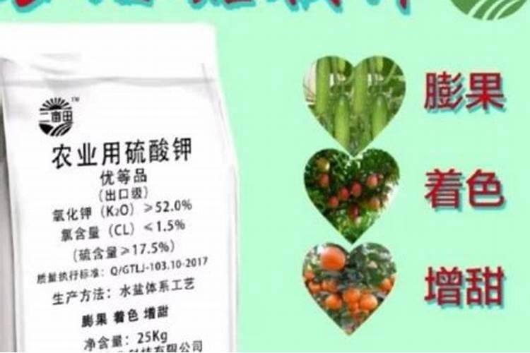 氮肥是什么肥