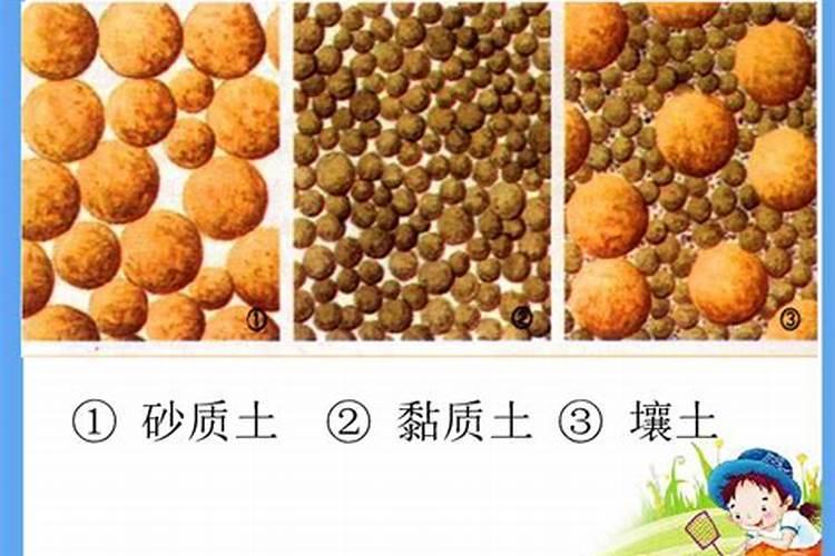 氮肥包括哪些肥料