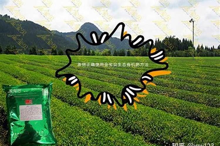 茶花可以施复合肥吗