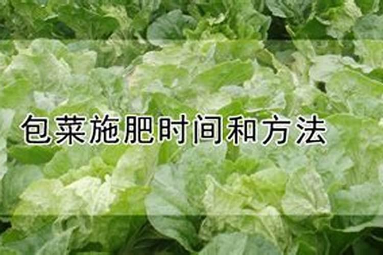 油菜需要喷硼肥吗？什么时候喷合适呢？