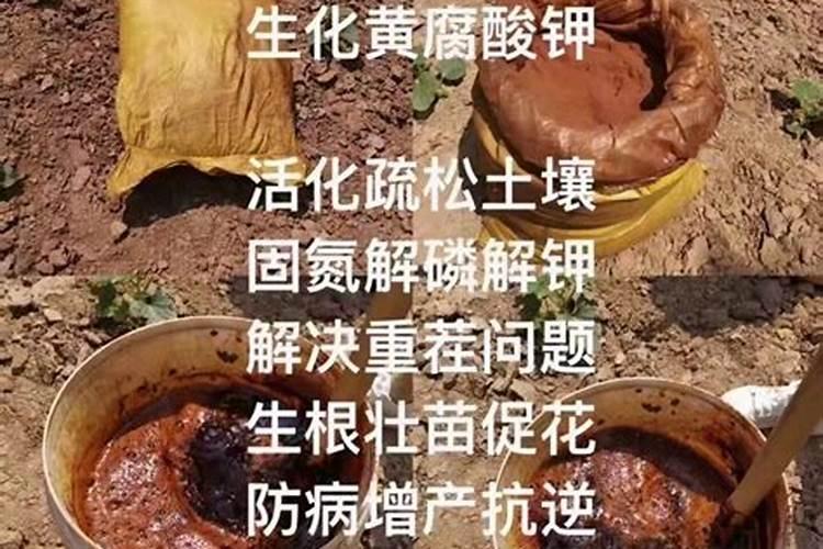 莲藕用什么叶面肥好‘莲藕表皮颜色不好看,有黑斑？