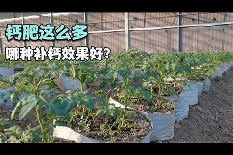 华鲁恒升是国企还是私企