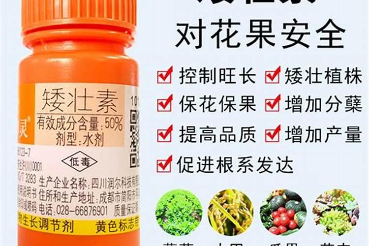玉米控旺药能和芸苔素一块打吗