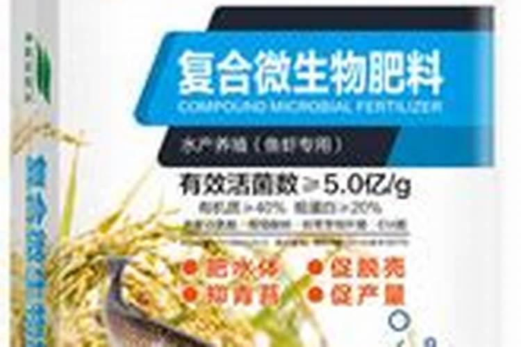 葡萄苗几月份种植合适