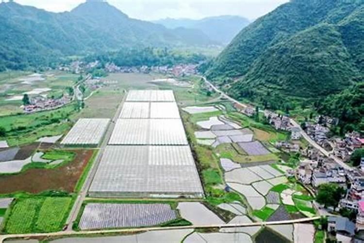 种蔬菜用什么肥料最好