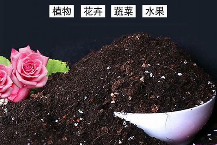 种花用什么土最好