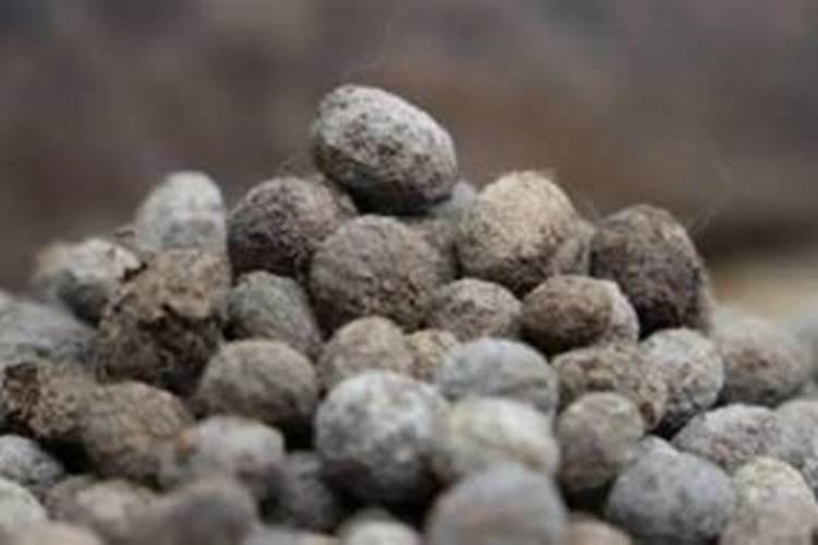 兔子粪能养花吗？？？