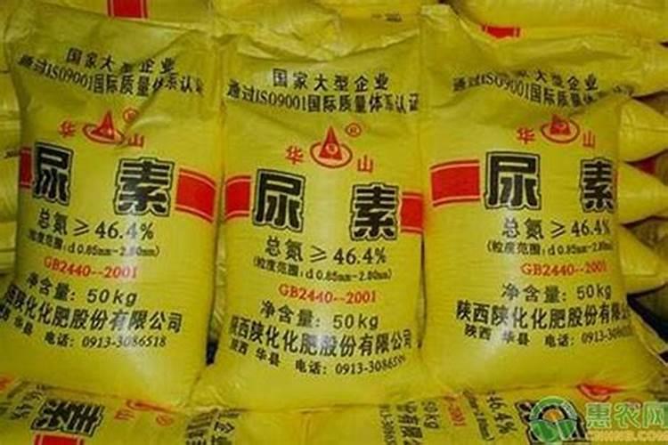 红薯后期如何施肥