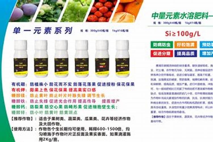 福进门和海法哪个好