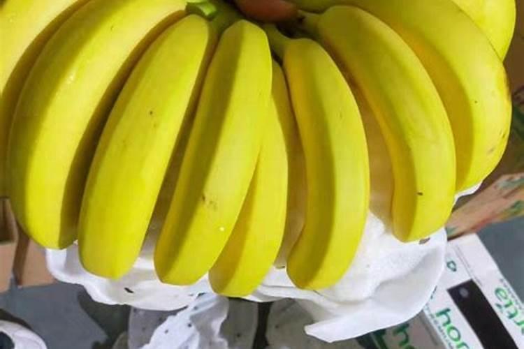 水果皮做肥料的方法