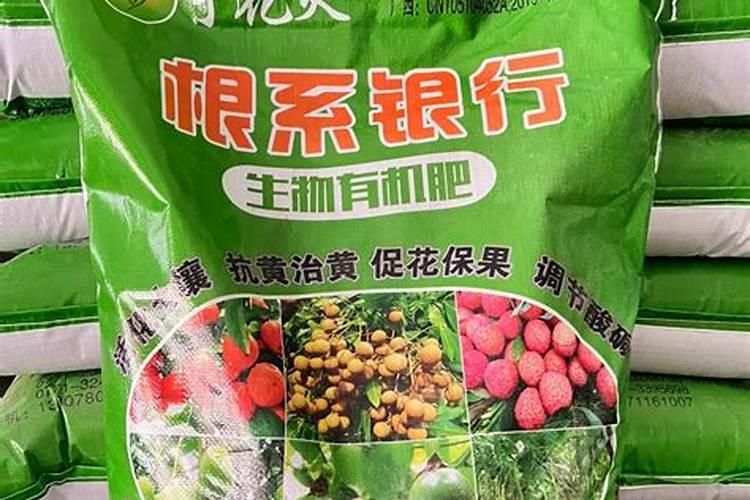 早秋芹菜种植管理技巧 芹菜怎么高产施肥