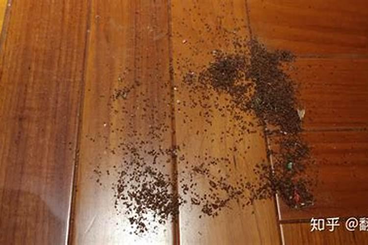 木碎能改良果园土壤吗