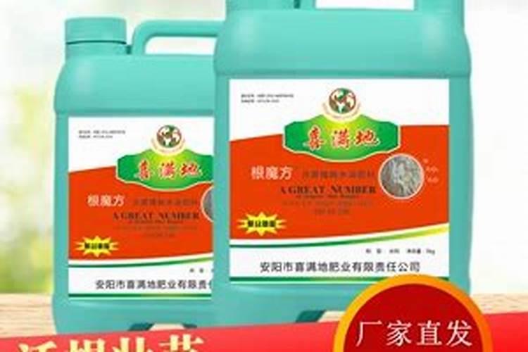 由碳氢氧氮组成的离子化合物