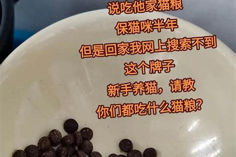 卵磷脂的功效与作用