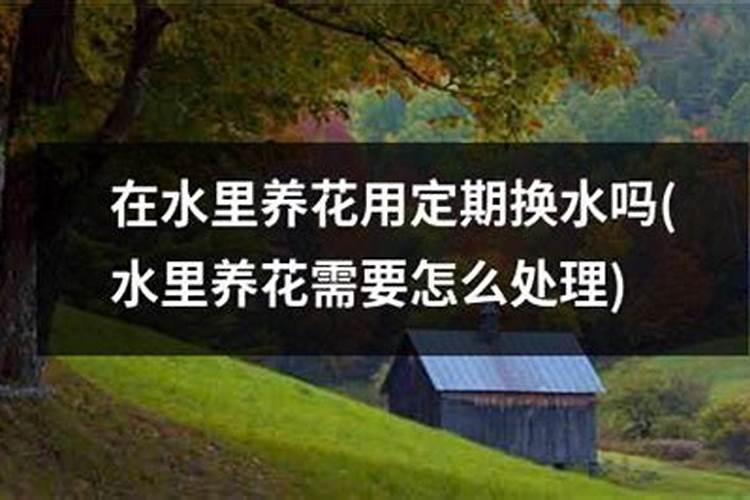 家庭养花为何还会出现肥害