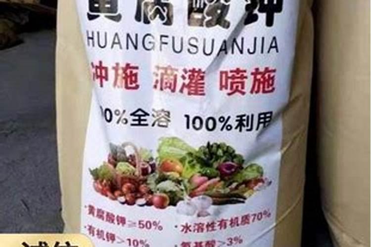 冬天杜鹃花怎么浇水