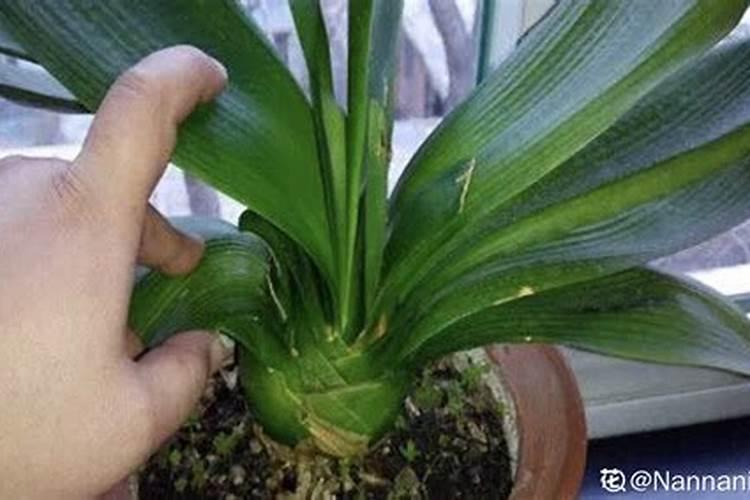 硅博源肥料哪里生产的