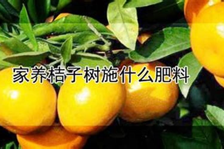 水溶肥与大量元素水溶肥有什么不同