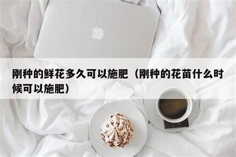 磷酸二氢钾什么时候用最好