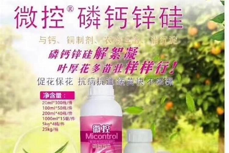 番茄怎么样喷施叶面肥？