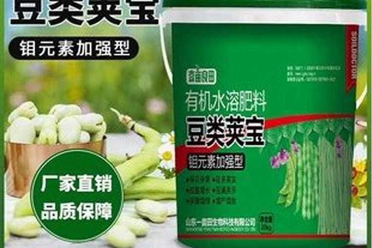 沙糖桔七月份施什么肥
