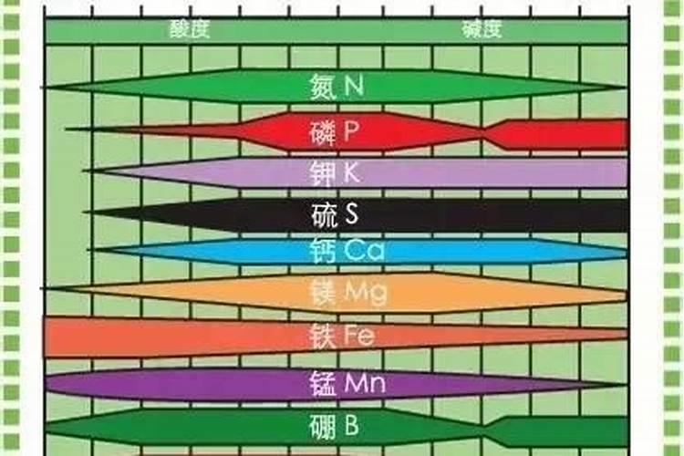 磷素肥料的施用原则是什么 磷素肥料在土壤中会怎么样