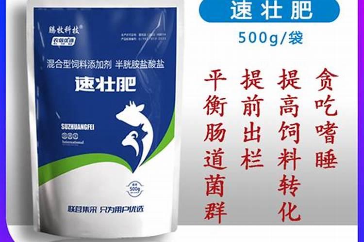 桂花树开花后如何养护盆土疏松开花多