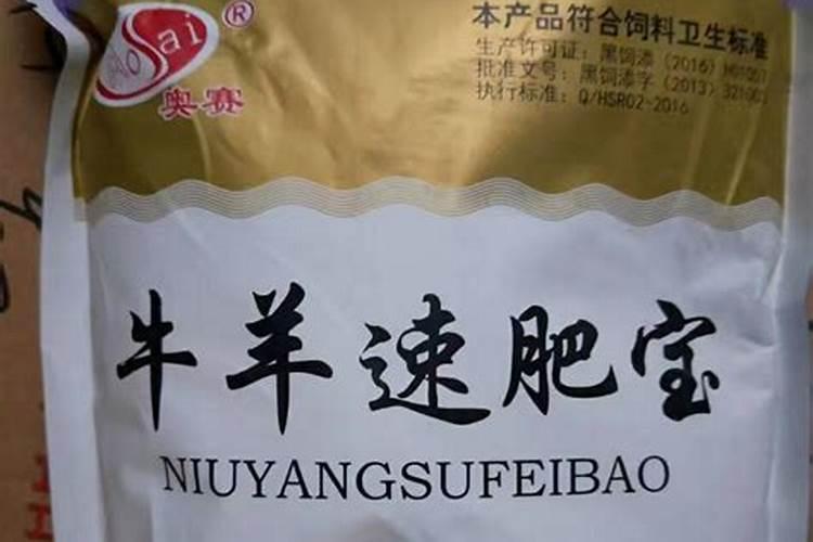 农村养羊要注意哪些问题