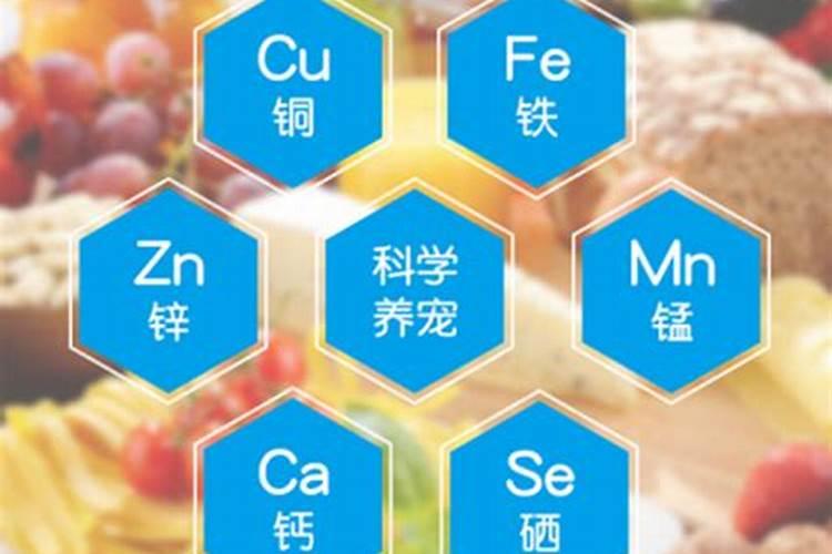 微量元素怎么补