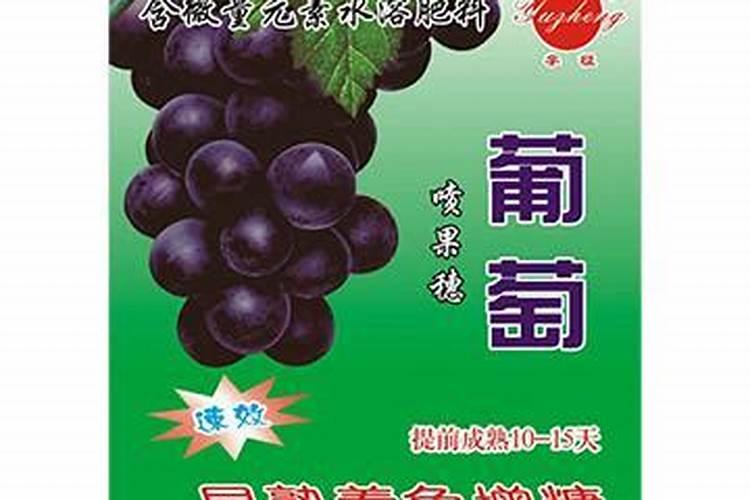 葡萄软化果柄用什么药