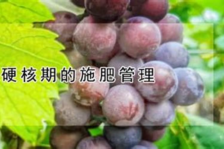 草铵膦兑水比例方法