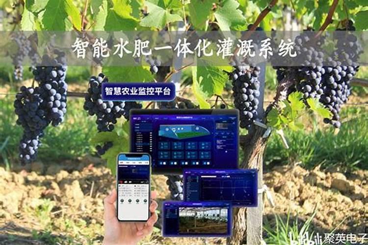 益微元水溶肥的作用