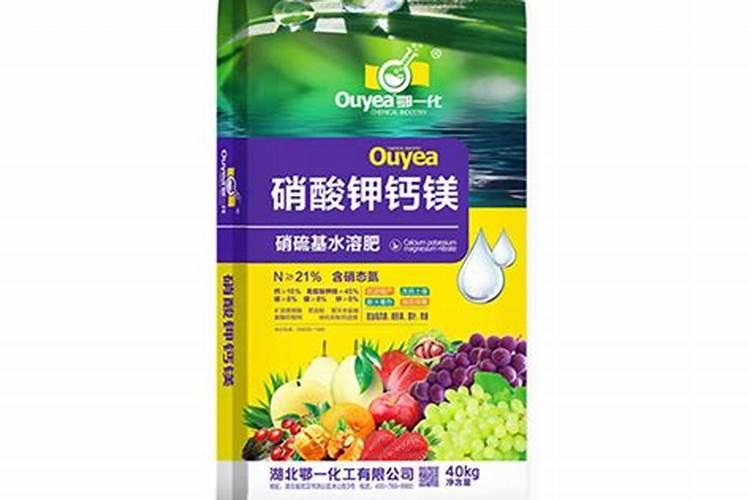 海水最丰富的矿物质