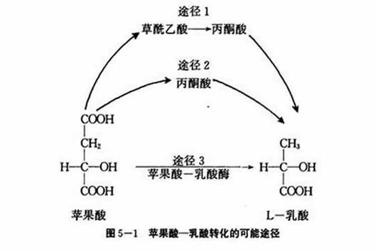 苹果需要什么化肥
