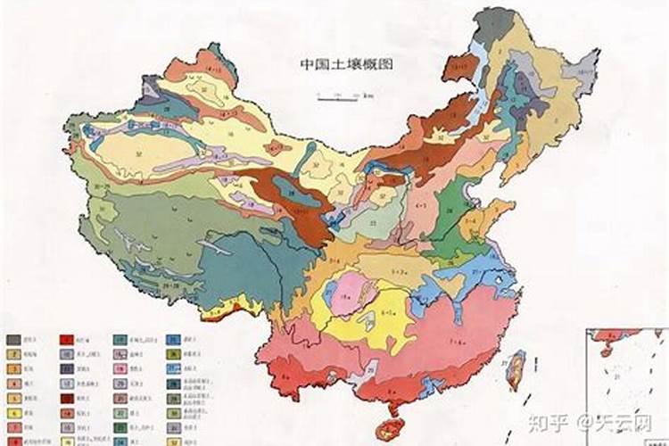 钙肥的作用与功效