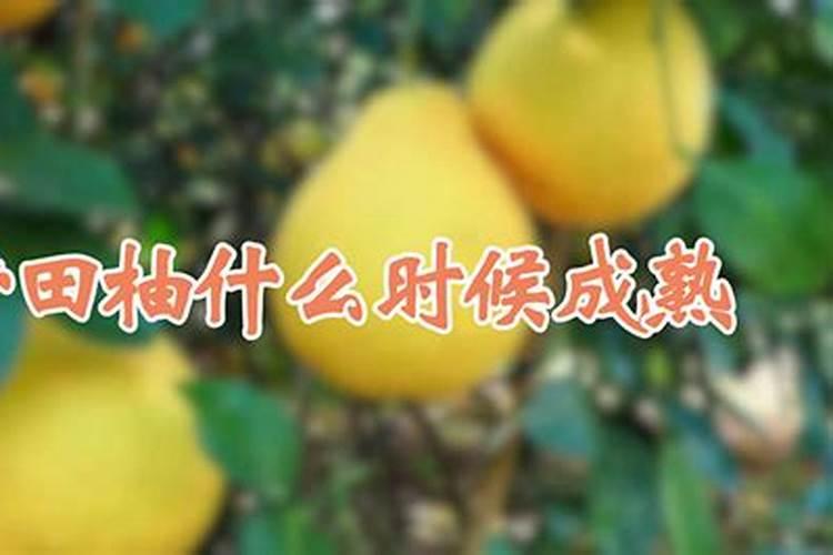 中国前十矿源黄腐酸钾是哪几家？