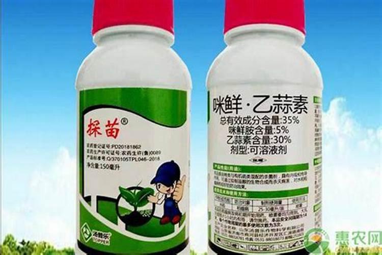 叶面肥喷施时间及叶面追肥技术要点