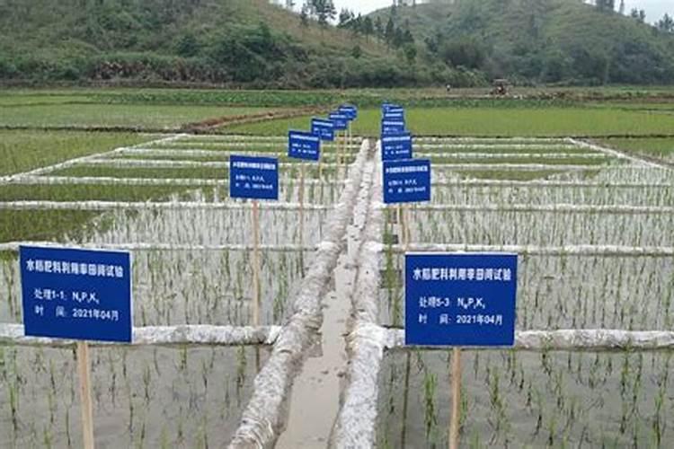 目前,水稻常用的施肥方法有哪些？