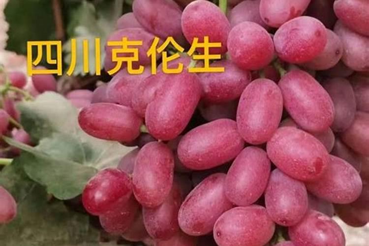 梨树花前花后喷什么农药？
