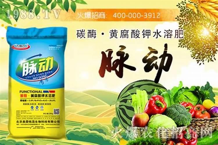 如何识别真假化肥？