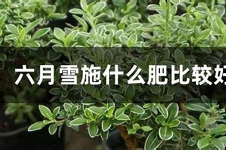 中国知名叶面肥生产厂家有哪些,那家做的比较好？