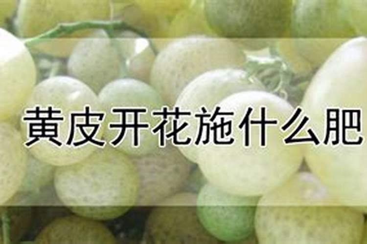 黄腐酸钾和腐植酸钾有什么区别和优势？？