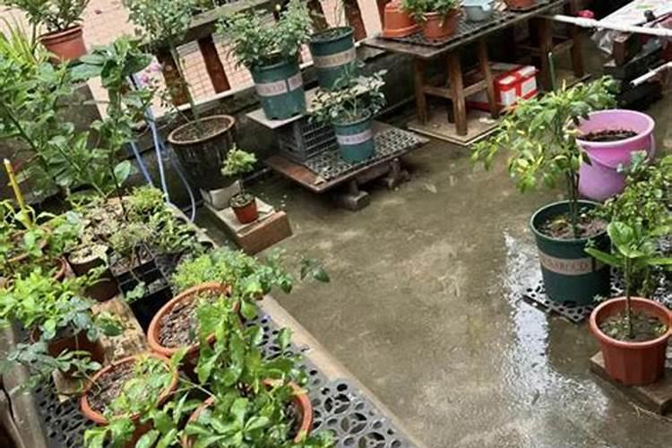 西瓜雨天可以施肥吗