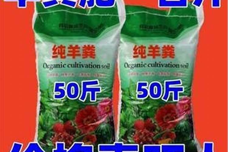 母猪链球菌关节炎型怎么治疗