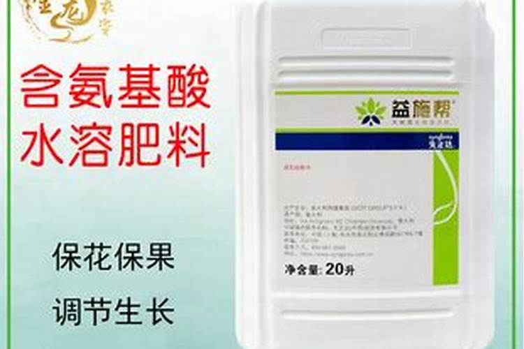 观音竹买来十来天了,可是叶子变黄了,怎么办呢？