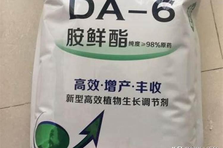 种香瓜用什么肥料最好